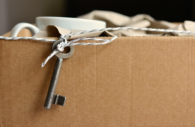 huurwoning verhuizen tips